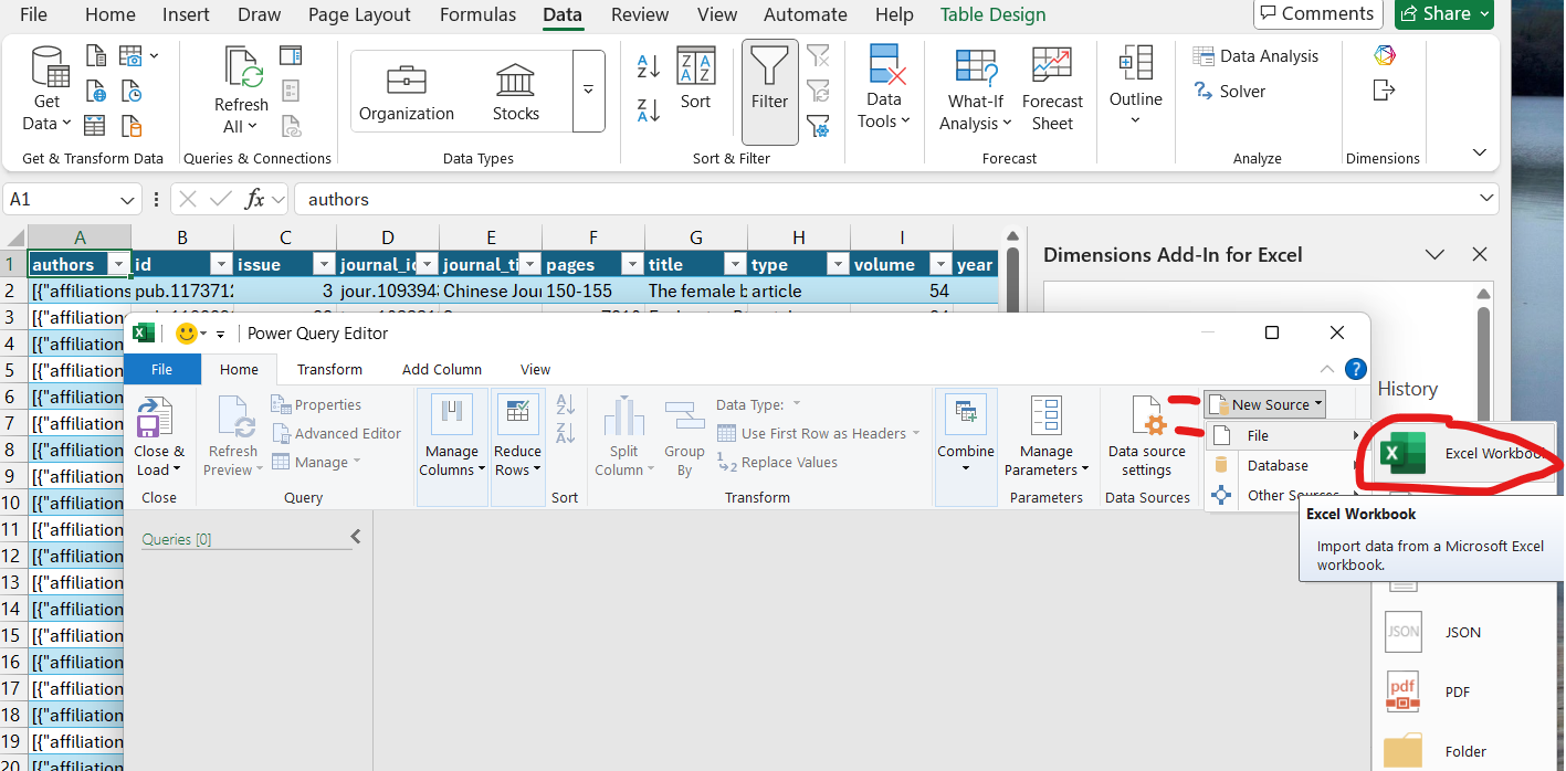 Add-ins menu showing Dimensions